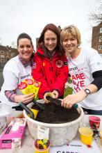 Aramark's volunteer day