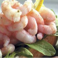 Premiumisation prawns Royal Greenland call chefs