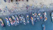 MSC says millions missing out on vital nutrients due to overfishing 