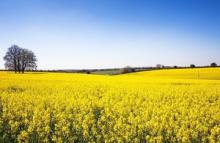 Government unveils major package to support farming & food sector 