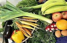 defra £3m food redistribution funding