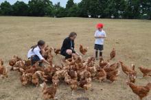 Surrey Primary Schools achieve ‘Gold’ Food for Life accreditation