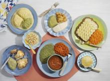 Wiltshire Farm Foods Professional launches into care home market 