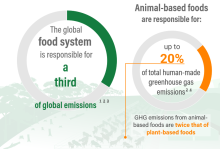 ProVeg publishes plant-based catering guide for large events  