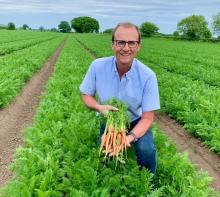 British Carrot Growers Association creates school competition