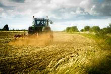 government, food, production 