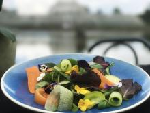 Ampersand forages for ingredients at new Royal Botanic Gardens, Kew restaurant 