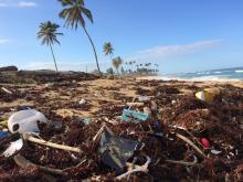 Consumers World oceans Day EauVation plastic 