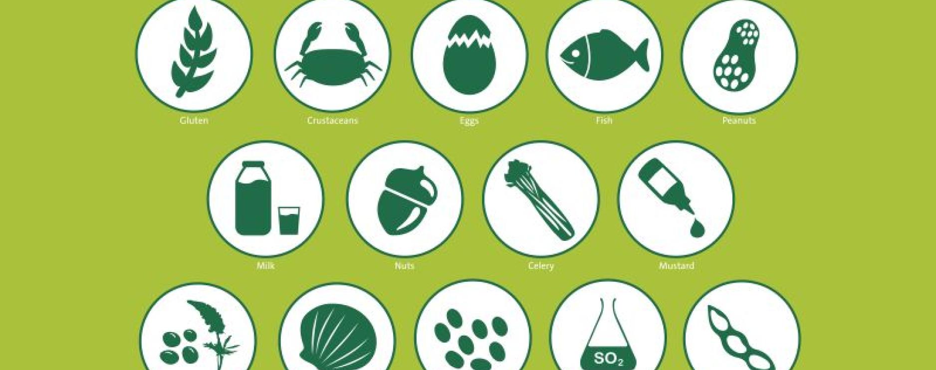 Apetito hosts webinar on managing food allergies in schools