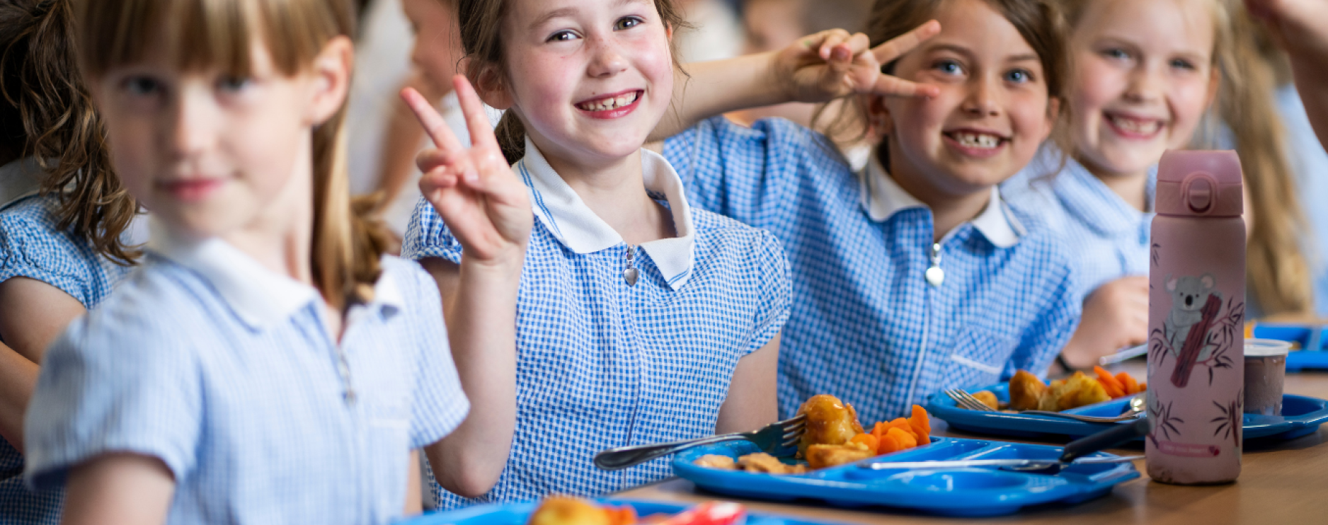 Apetito education division starts new market-research project