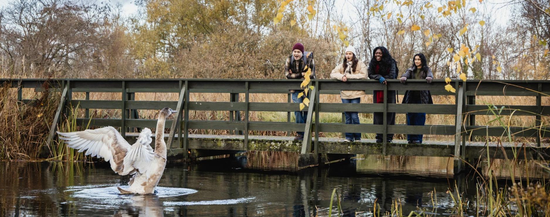 WWT London Wetland Centre names Elior UK as catering partner