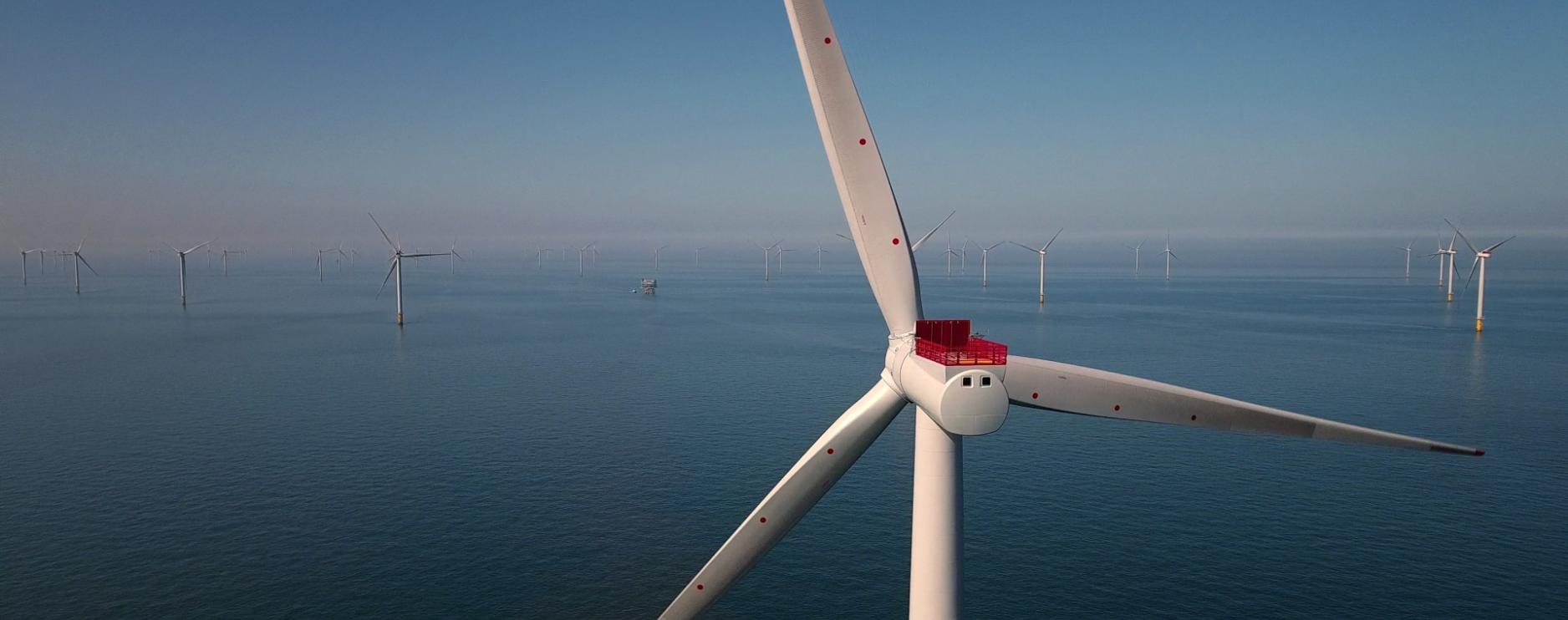 Foodservice provider Sysco GB moves towards renewable energy target 