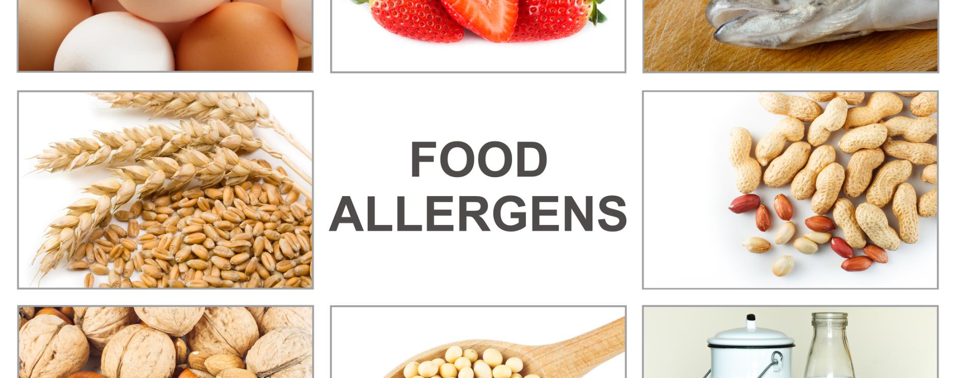Government to introduce stronger protection for schoolchildren with food allergies