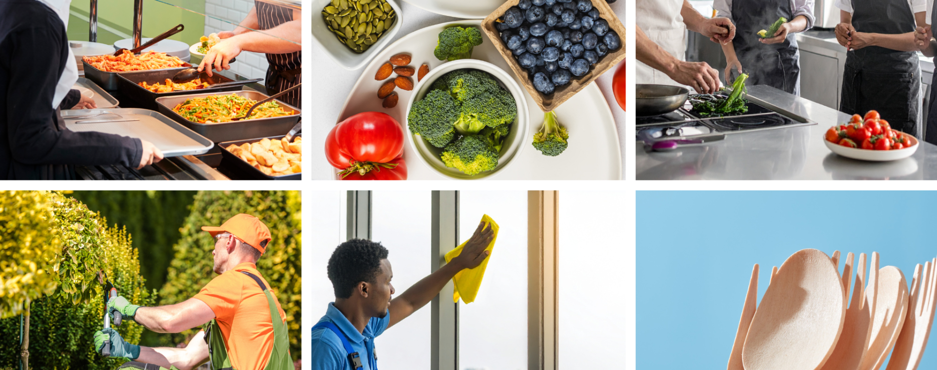 Foodbuy Group creates procurement division for education sector 