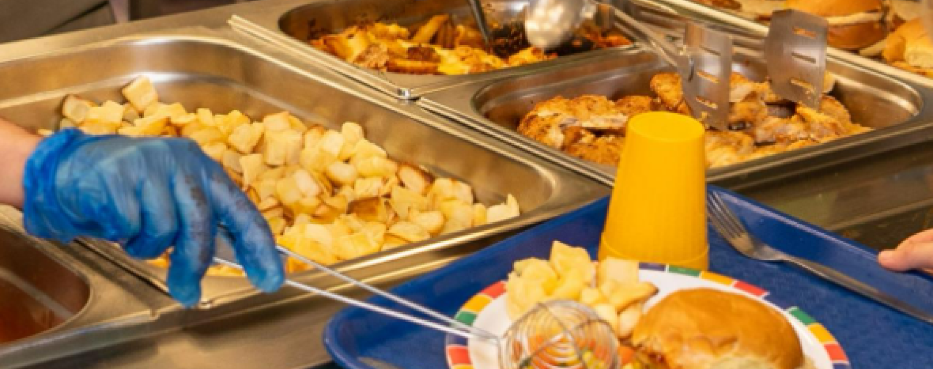 Deloitte funding to Cool Food Pro makes sustainable menu planning easier