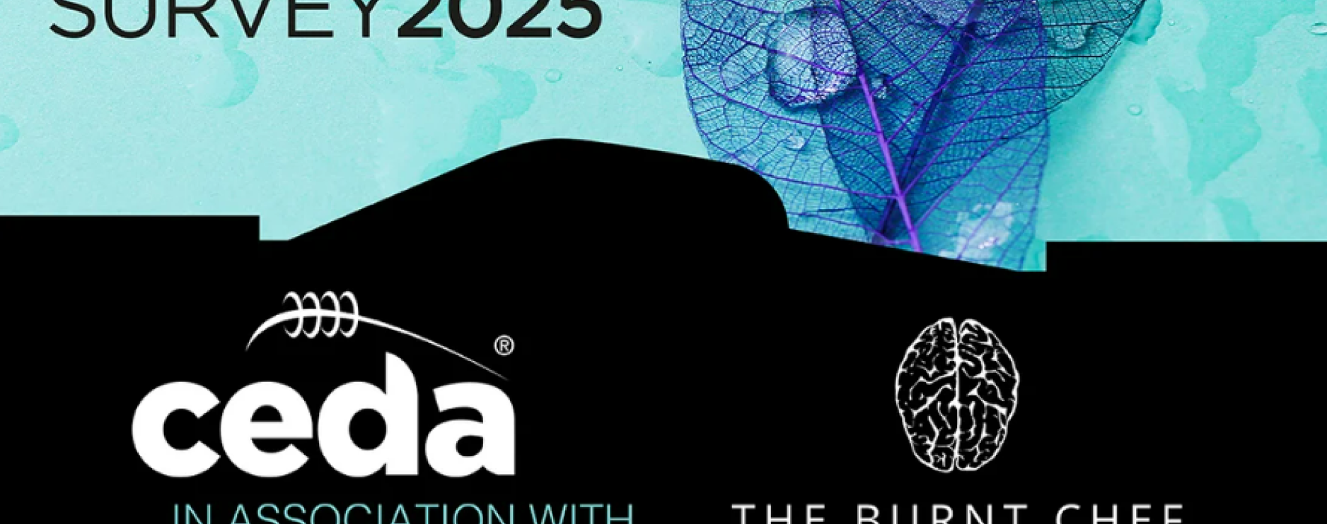 Ceda joins forces with Burnt Chef Project to create wellbeing survey 