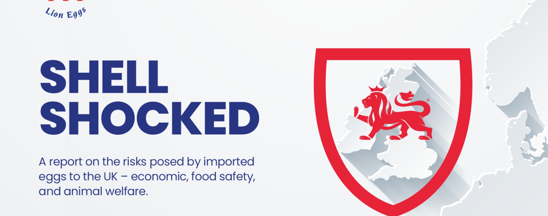 Report urges Government action on hen welfare risk from imported eggs