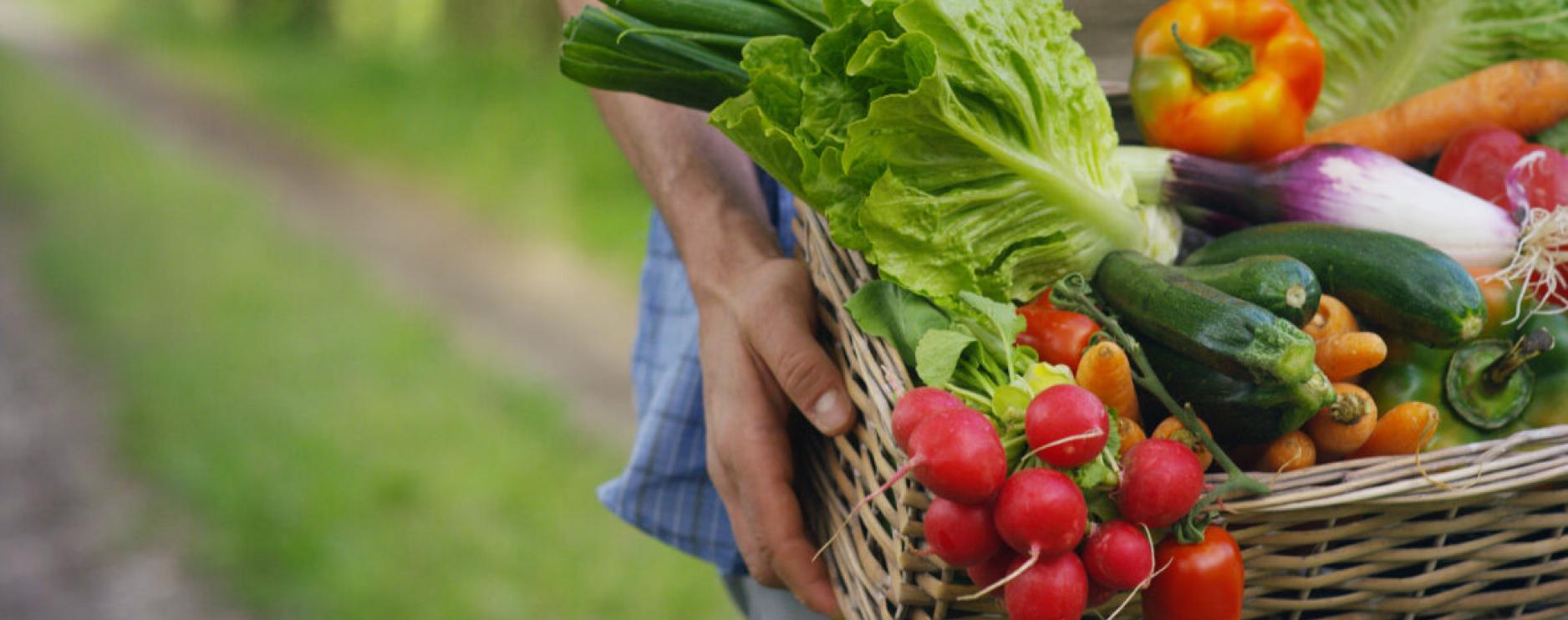 Asda’s winter fruit & veg pledge returns to fight food poverty