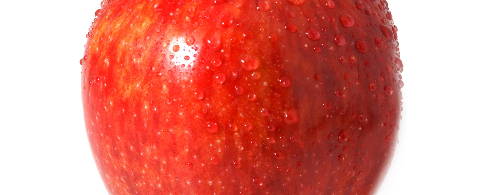 Recipe for Change calls on Government to create healthier food system