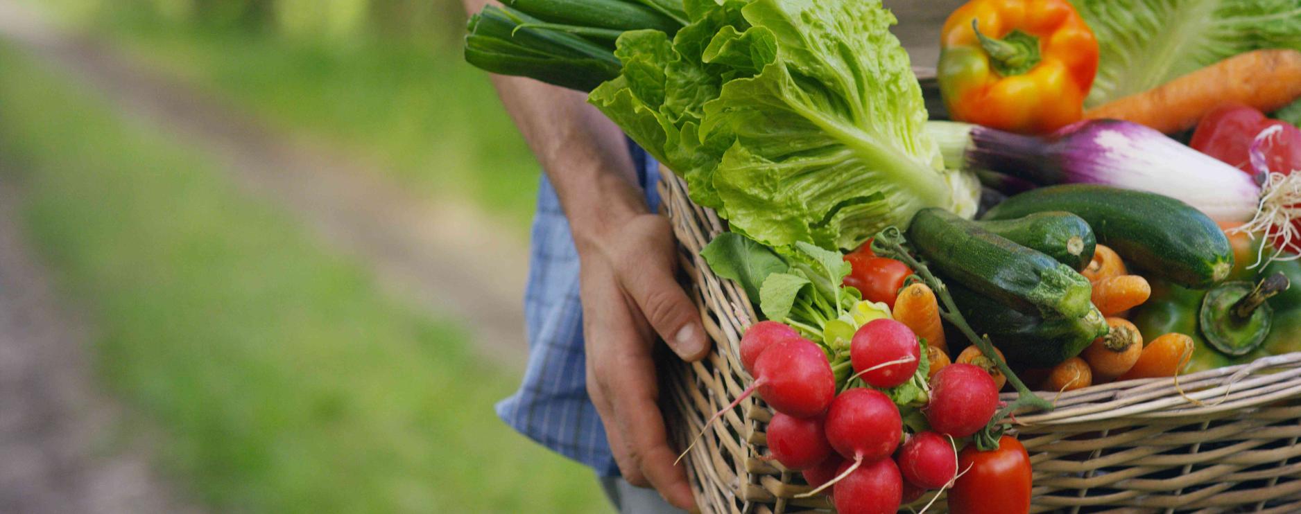 NHS Supply Chain launches new fresh food and food-to-go framework tender
