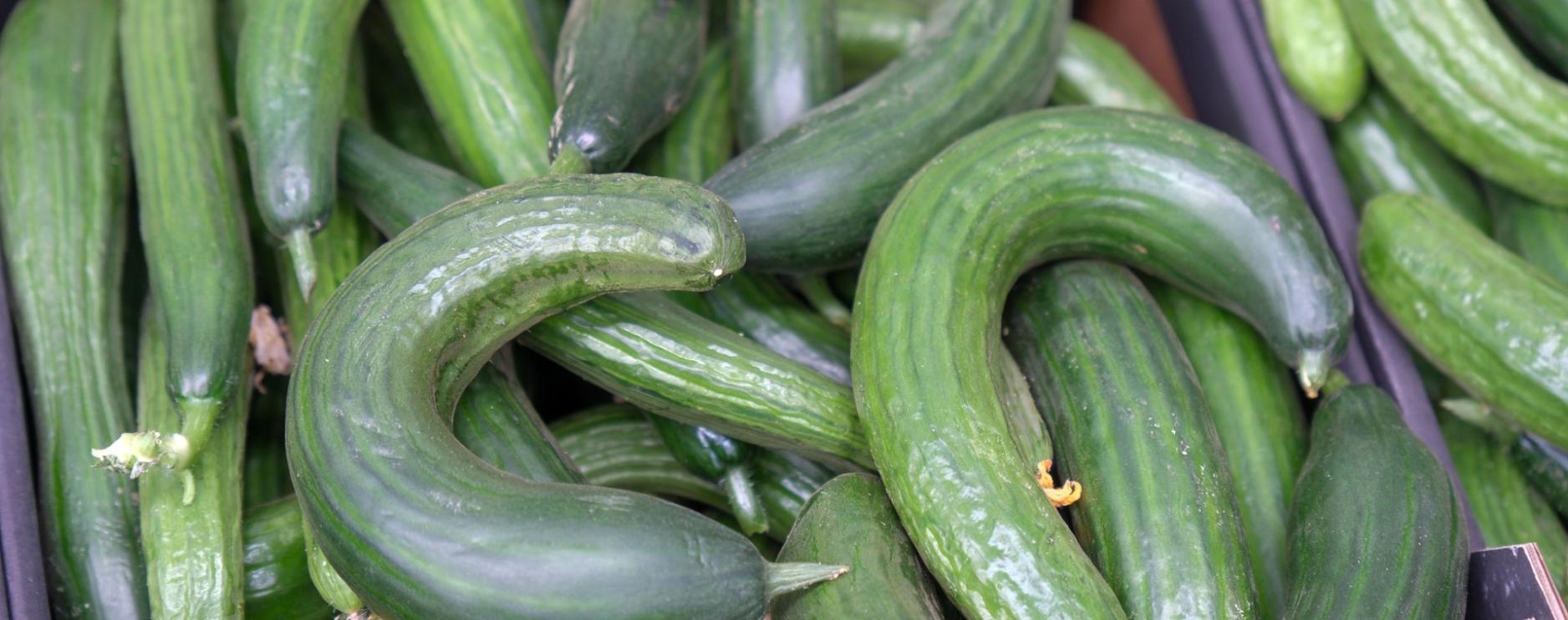 Juniper Ventures partnership redirects wonky vegetables into school meals 