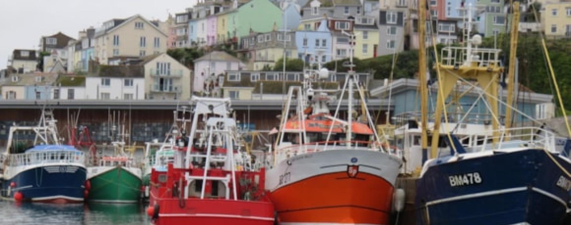 Report shows UK seafood imports & exports on rise