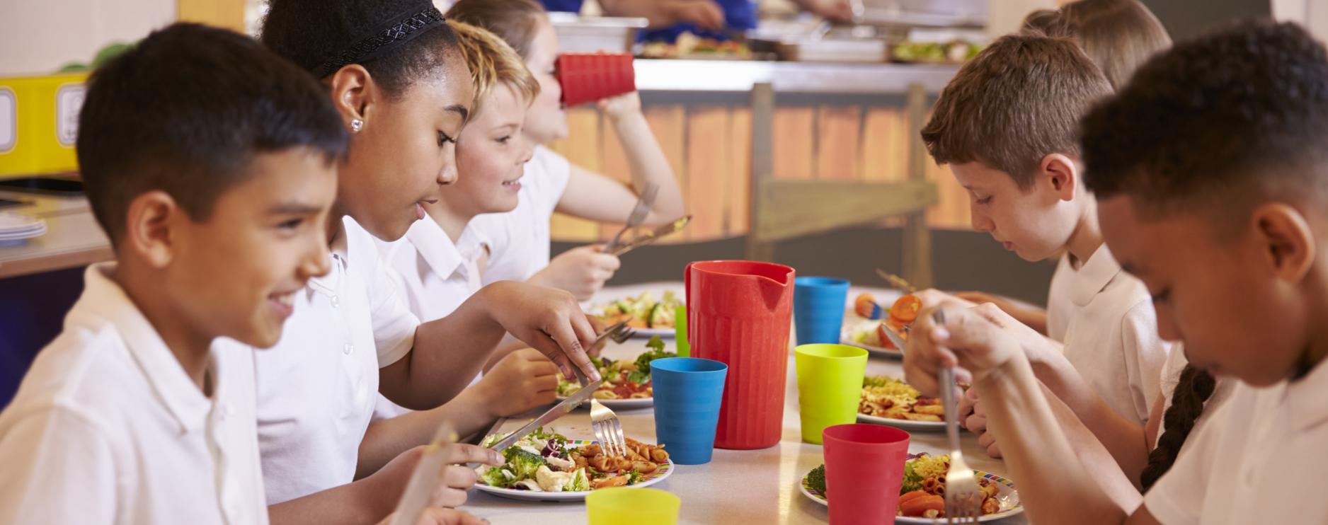 DfE starts consultation on Improving School Food Standards in England