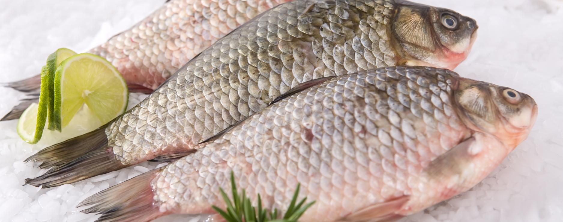 Norwegian Seafood Council to host industry summit in London 