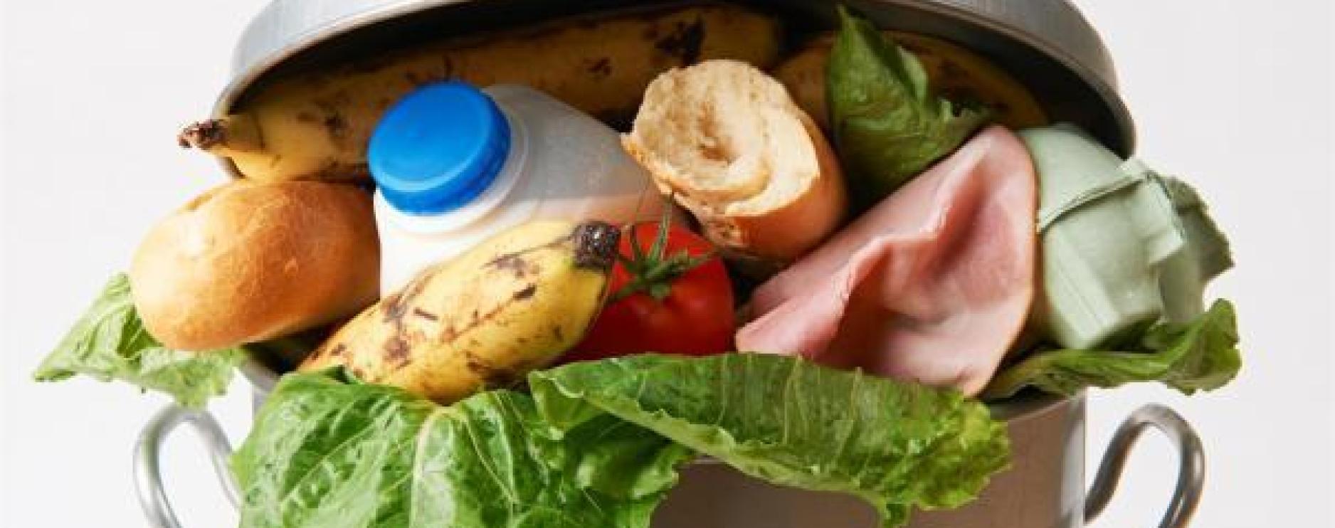 WRAP says household food waste threatens UK’s carbon reduction ambitions 