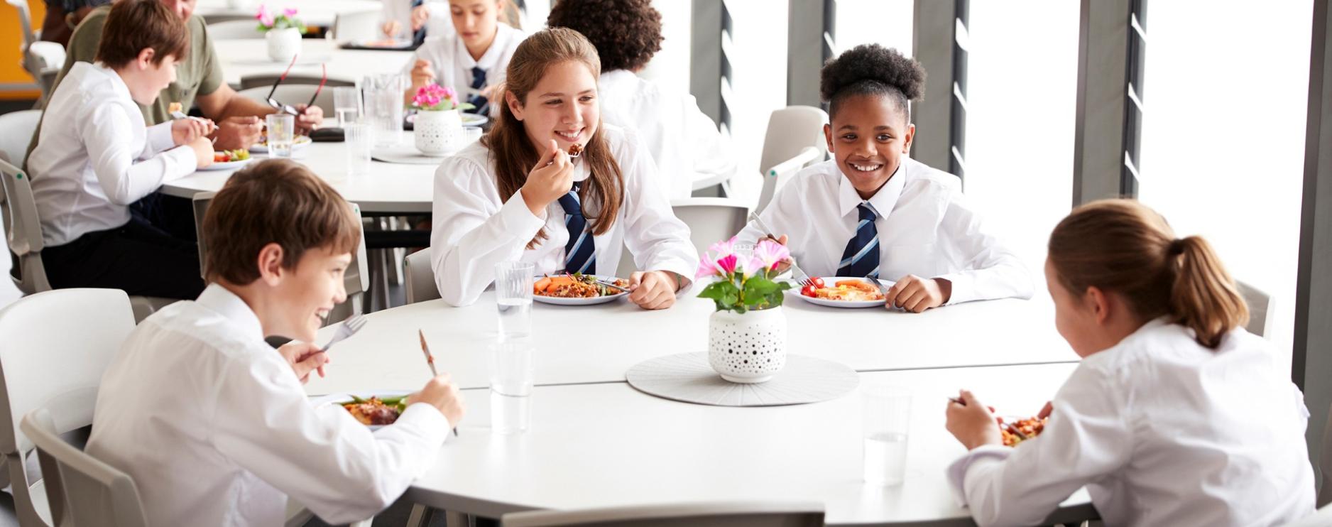 Lynx Purchasing targets £2bn education sector as operator costs bite 