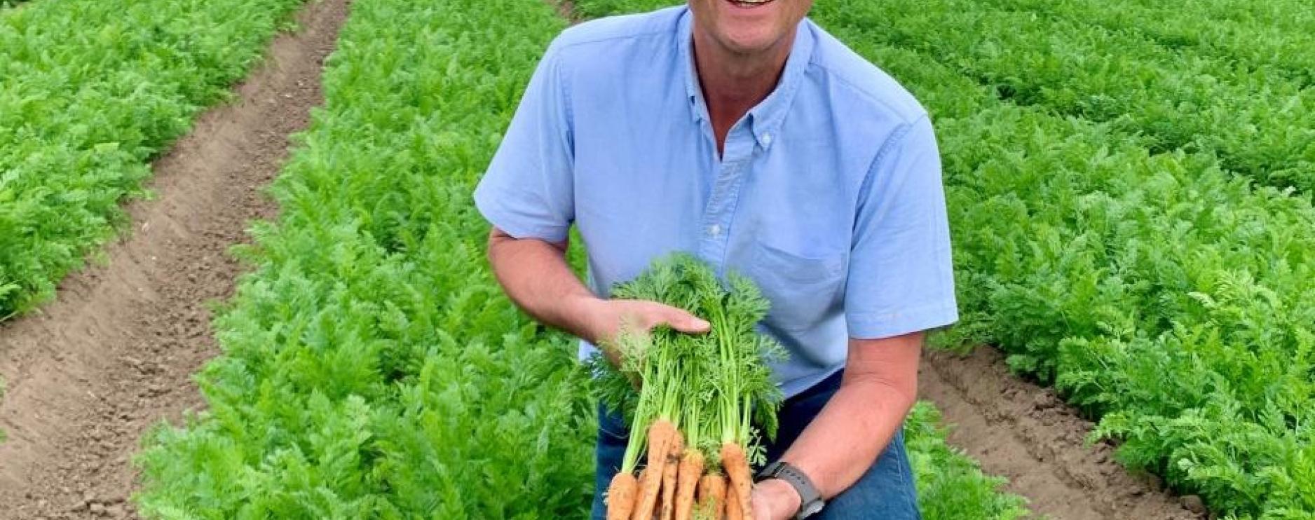 British Carrot Growers Association creates competition for schoolchildren