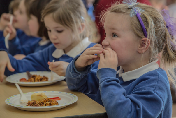Dorset School plans to stockpile food in preparation for no-deal Brexit 