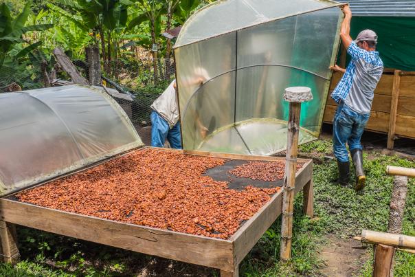 Nottingham based chocolatier teams up with Colombian growers to make innovative chocola