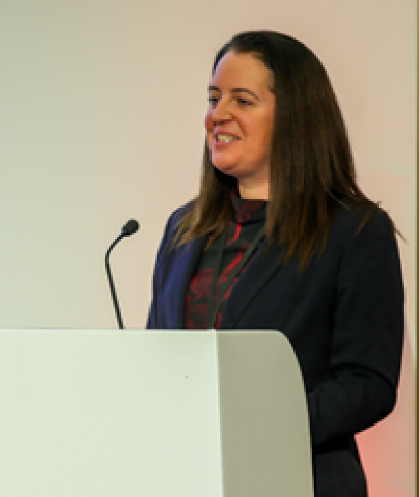 Debbie Johns: Report on the impact of UIFSM LACA APSE Debbie Johns UIFSM survey