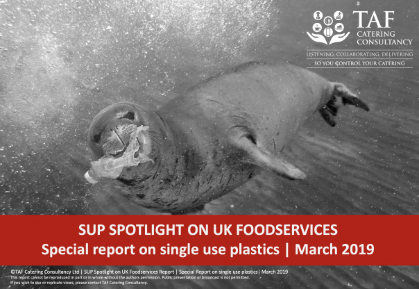 single-use plastic foodservice