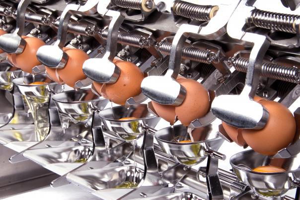 British Lion warns against oversimplifying egg products