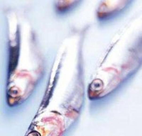 Compass Group gains MSC Certification Public Sector Catering