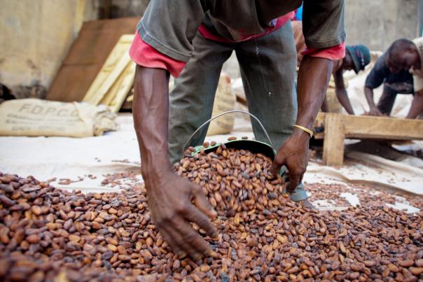 fairtrade nestle kitkat cocoa