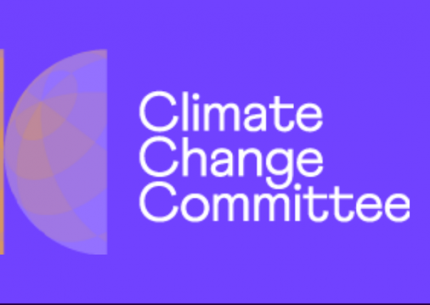 climate change committee net zero report 2022