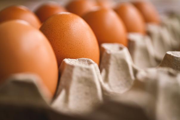 British Egg Industry Council issues urgent warning to UK food businesses 