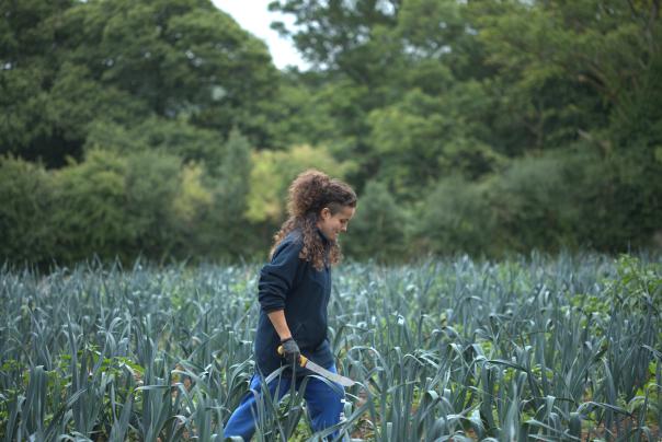 Soil Association calls on PM to double fruit & veg production Soil Association calls on PM to double fruit & veg production