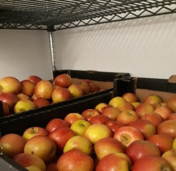 Chartwells and West Sussex County Council support those in ...