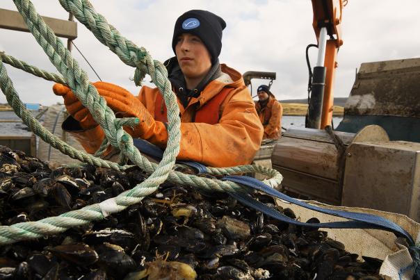 marine stewardship council sustainable seafood week september 10-17