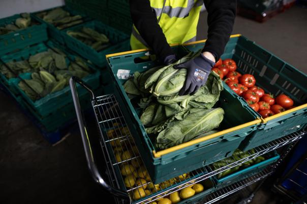 Government creates £13.6m grant to help redistribute surplus farm produce Government creates £13.6m grant to help redistribute surplus farm produce