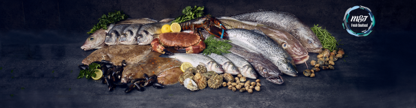 Wholesaler kff launches new range of fresh fish Wholesaler kff launches new range of fresh fish