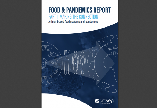 proveg report food pandemic animal farming