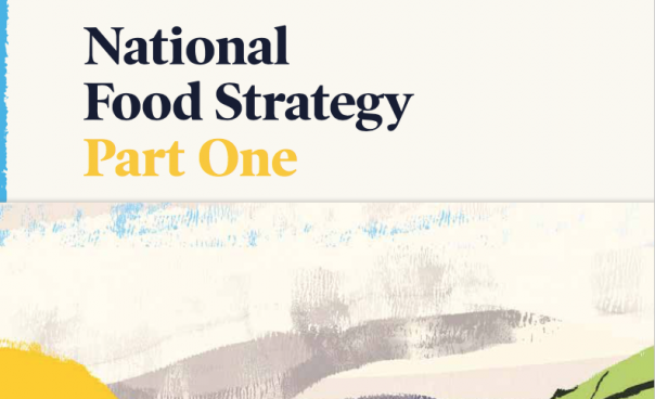 national food strategy henry dimbleby part one