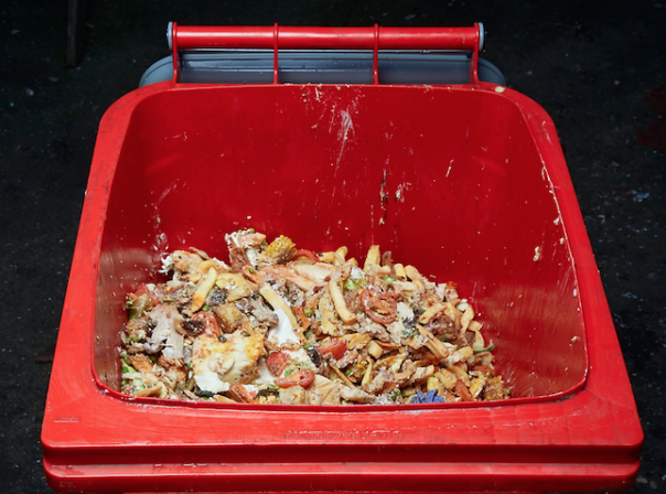food waste anaerobic digestion bioresources