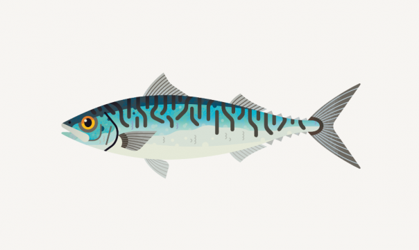 Northeast Atlantic mackerel moves to amber rating Northeast Atlantic mackerel moves to amber rating