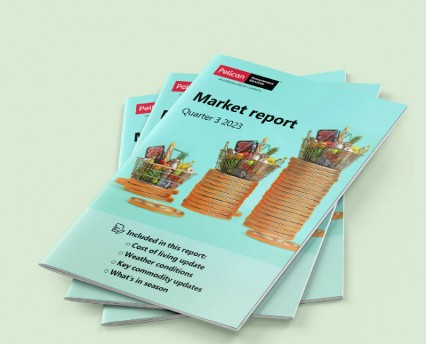 Pelican Procurement publishes Q3 Market Report Pelican Procurement publishes Q3 Market Report
